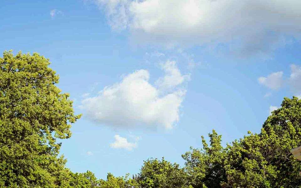 О погоде на пятницу, 11 июля, рассказали воронежцам синоптики