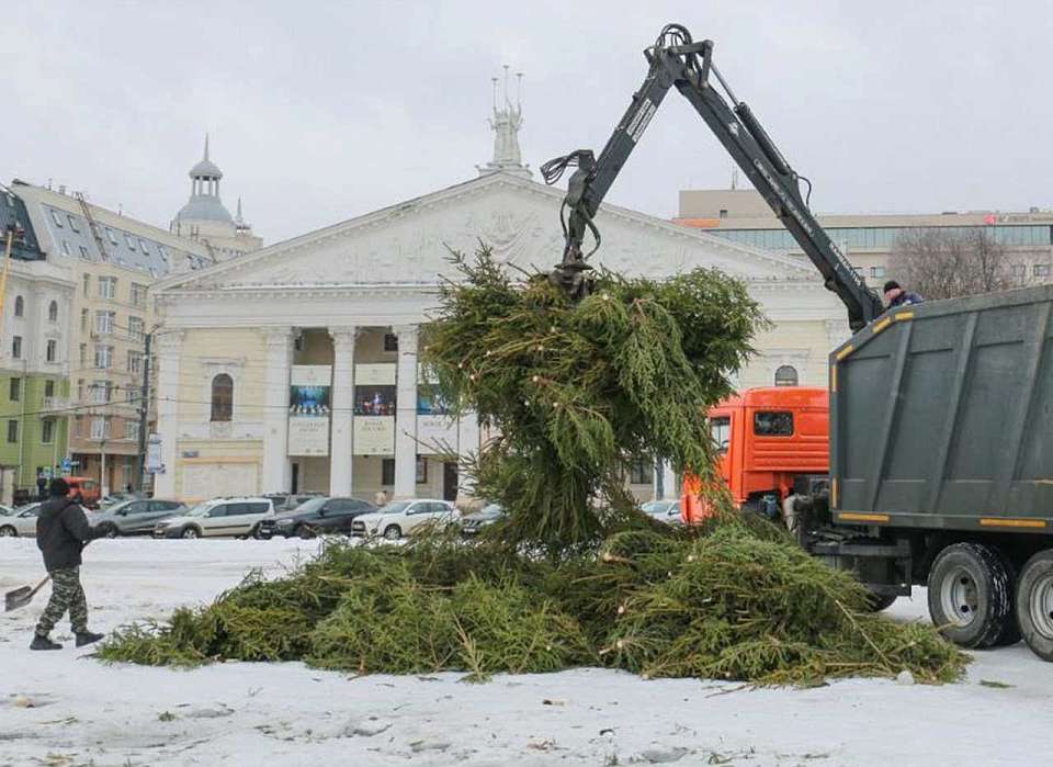 В 20 кубов щепы переработали 370 ёлок с площади Ленина в Воронеже