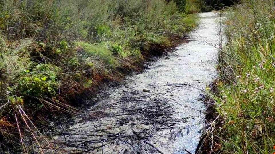 Нефтебаза загрязнила почву в Воронежской области