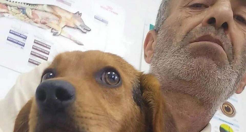 В Армении похоронили воронежского зоозащитника, ставшего жертвой атаки БПЛА