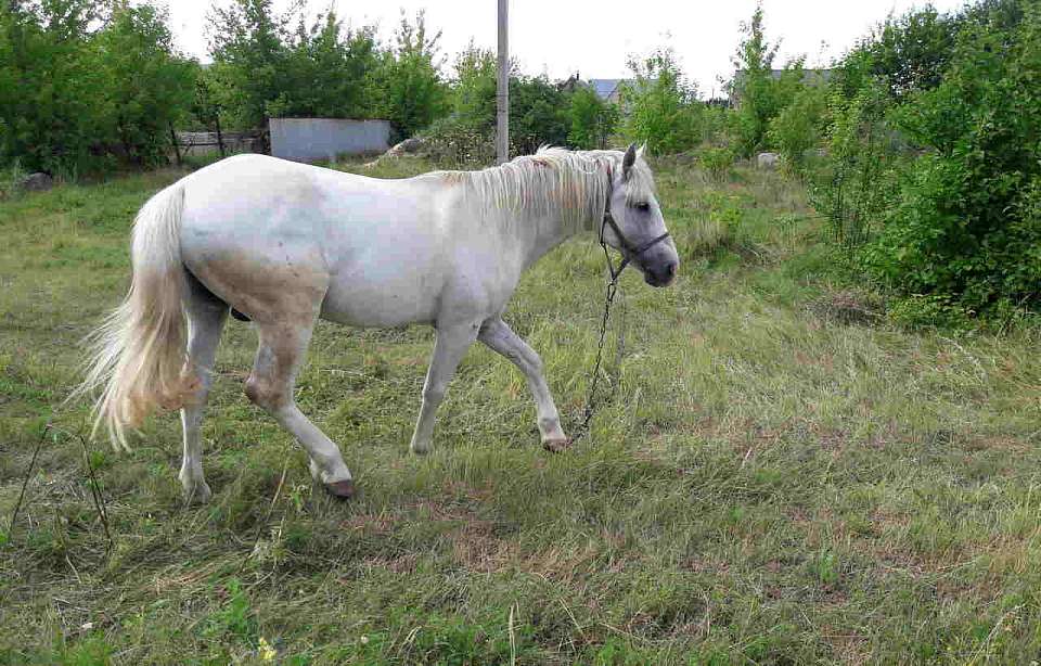 В Воронежскую область придёт летняя 30-градусная жара