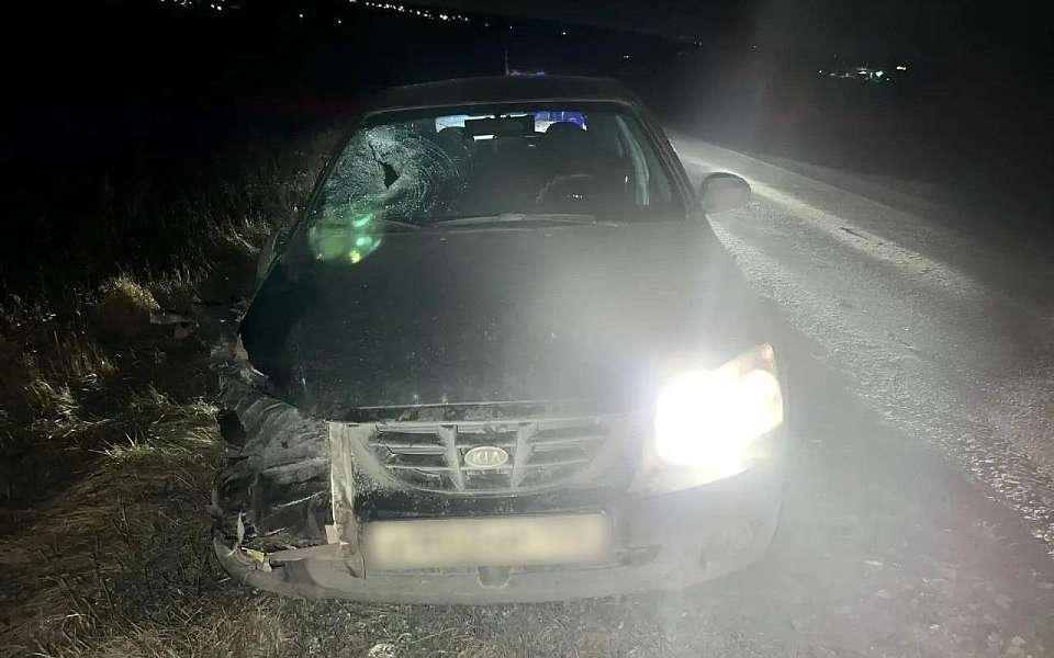 Умер сбитый вечером на трассе под Воронежем 44-летний пешеход