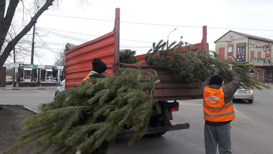 В Коминтерновском районе продолжаются рейды по елочным базарам.