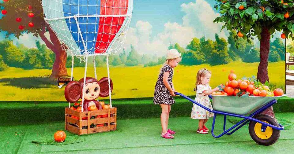 Дружные старты: в воронежском парке «Алые паруса» прошёл яркий праздник «Остров семейных ценностей»