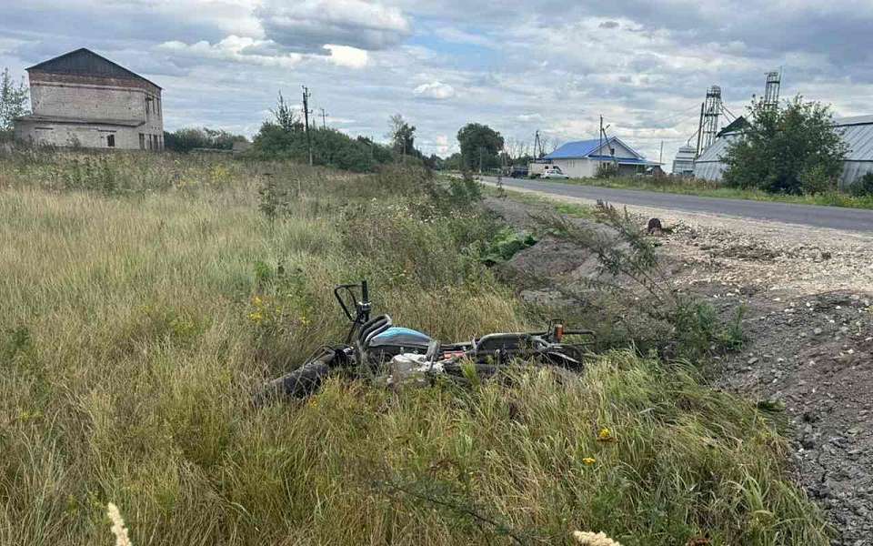Подростки на мопеде попали под КамАЗ на трассе под Воронежем