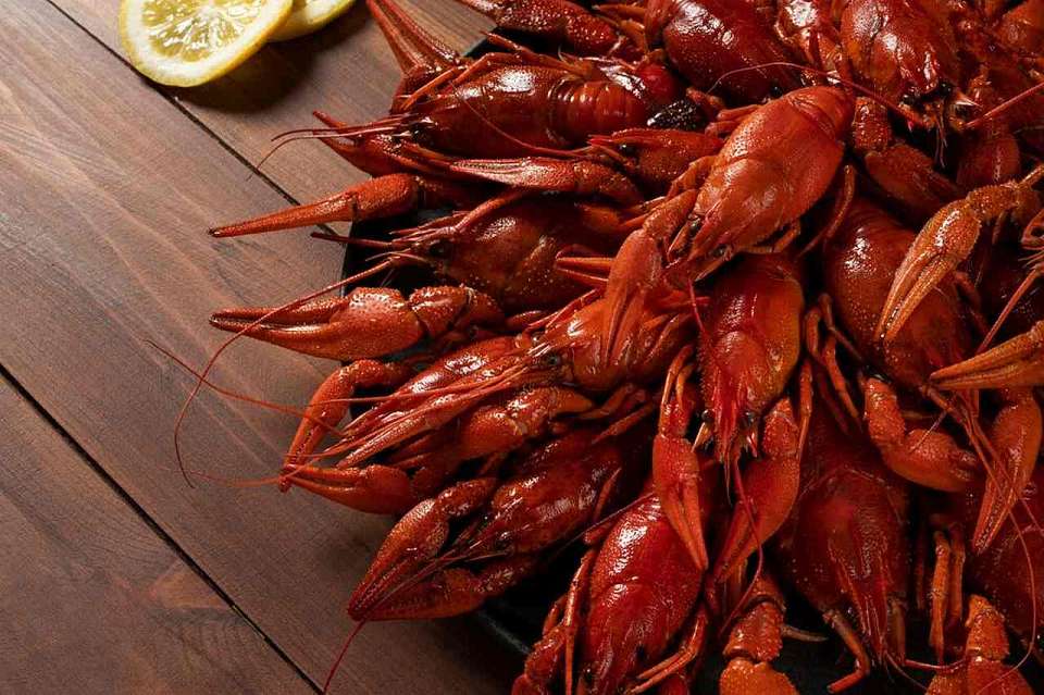 Акваферму для разведения раков за 250 млн рублей продают под Воронежем