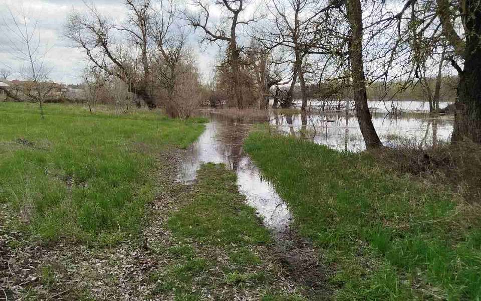 Закрыли экологические тропы из-за паводка в заповеднике в Воронежской области