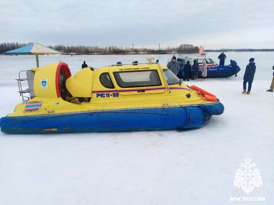 В Воронеже спасли провалившуюся под лед женщину