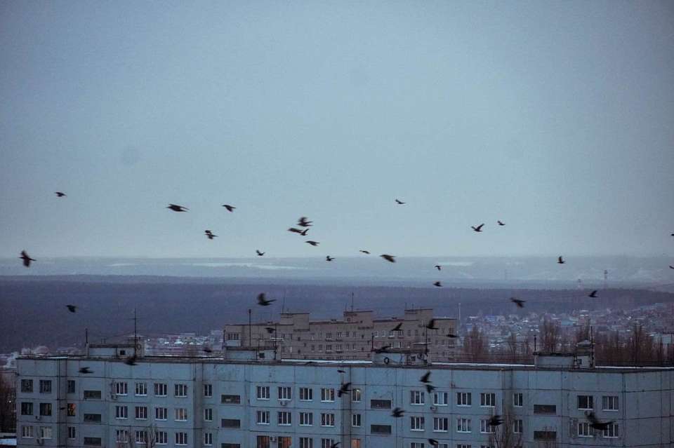 Почти 4 часа провела в зоне атаки БПЛА Воронежская область