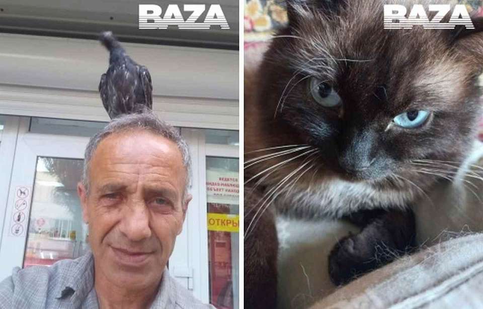 Мужчина, погибший в Воронеже после атаки БПЛА, пытался спасти любимую собаку