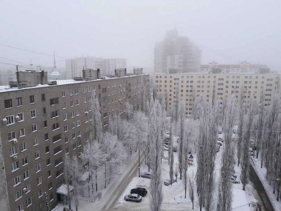 Морозный и пасмурный день ожидает 31 декабря воронежцев