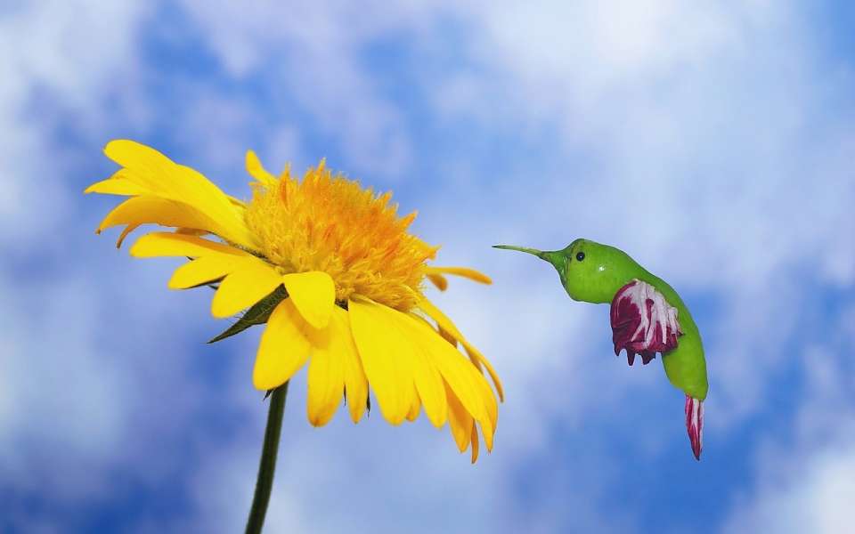 О штормовом ветре экстренно предупредили воронежцев в МЧС и Гидрометцентре