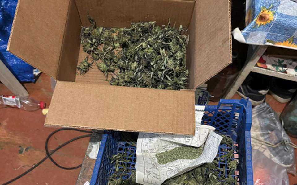 Более килограмма дикой конопли заготовил себе житель Борисоглебска