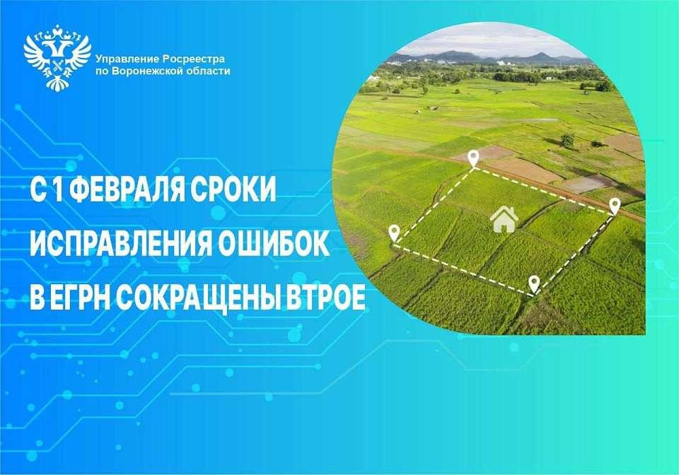 Почти 11 тыс. ошибок в границах земельных участков исправят в Воронежской области в 2024 году