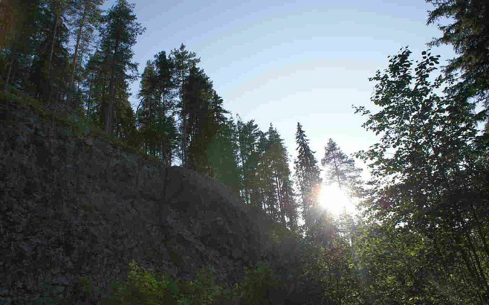 Аномально жаркая погода и небольшой дождь ожидаются 31 мая в Воронежской области