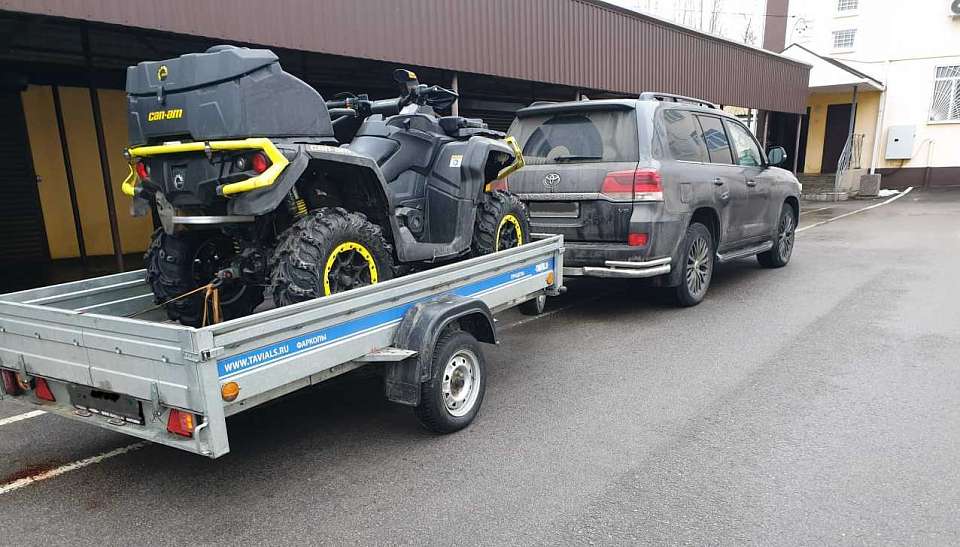 Суд вынес приговор двум мужчинам за незаконную охоту на кабана в воронежском лесу