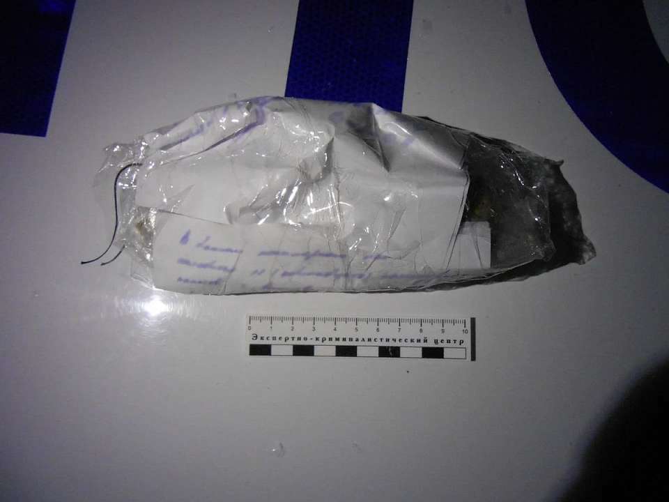 Воронежского актёра будут судить за хранение марихуаны