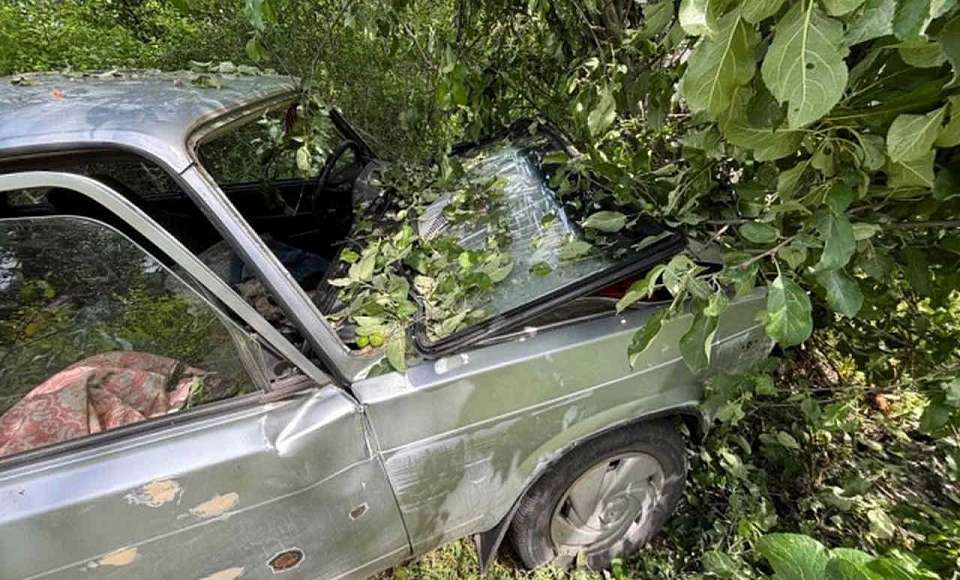 Скончался водитель «Лады», влетевшей в дерево в Воронежской области