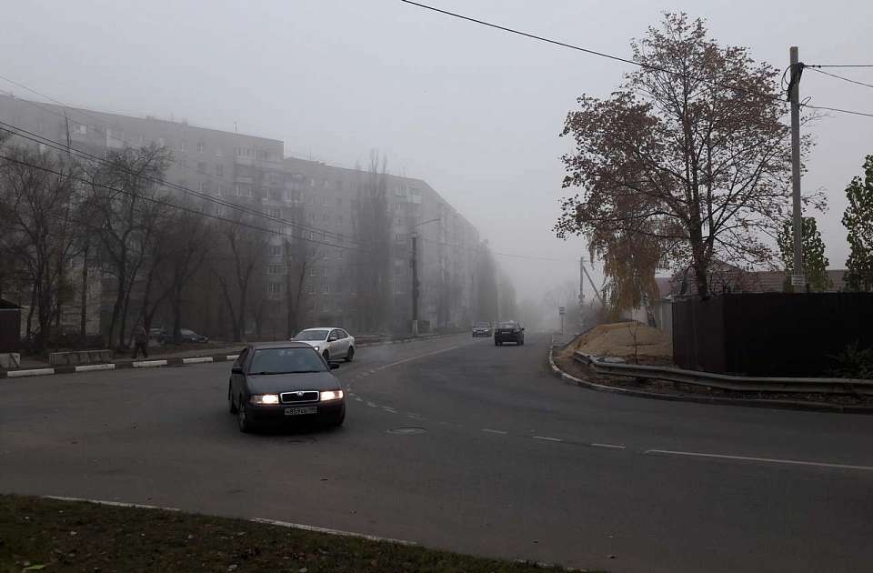 Из-за тумана и гололедицы Воронежская область оказалась в жёлтой зоне опасности