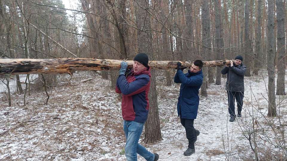 Из воронежского Северного леса после субботника в зону СВО отправили шестиметровые сухие сосны