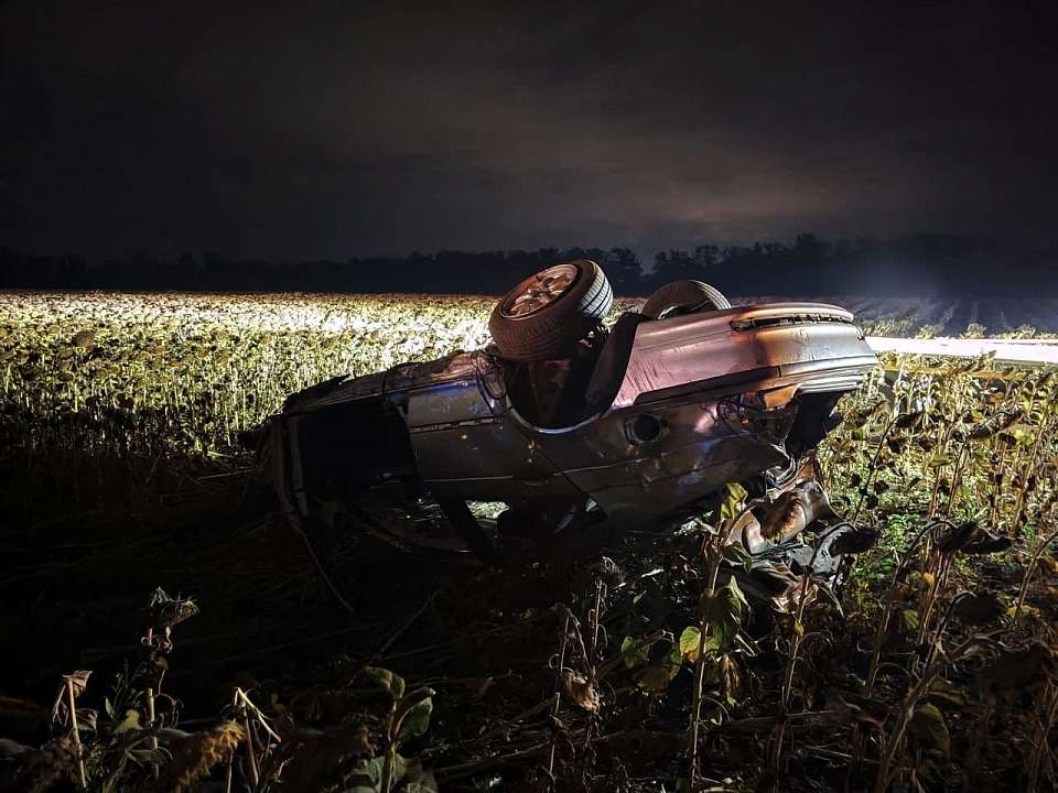 В поле подсолнечника погиб 22-летний водитель иномарки в Воронежской области