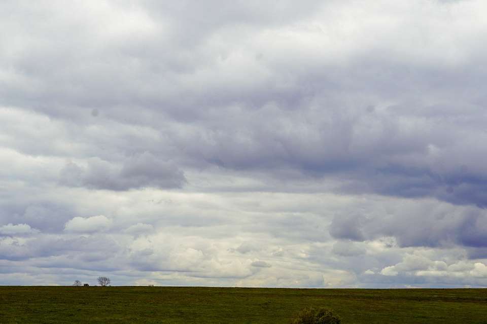 Мертвыми нашли шестерых пропавших без вести в Воронежской области
