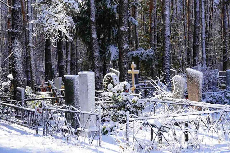 Дело полицейских, сливавших данные похоронному бюро, передано в суд в Воронеже 