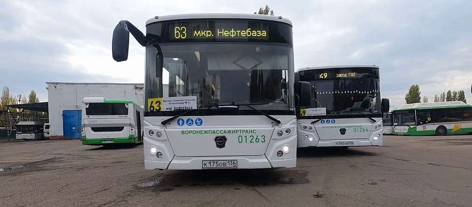 И жалобы отметил мэр Воронежа, и с праздником поздравил всех, кто за рулём