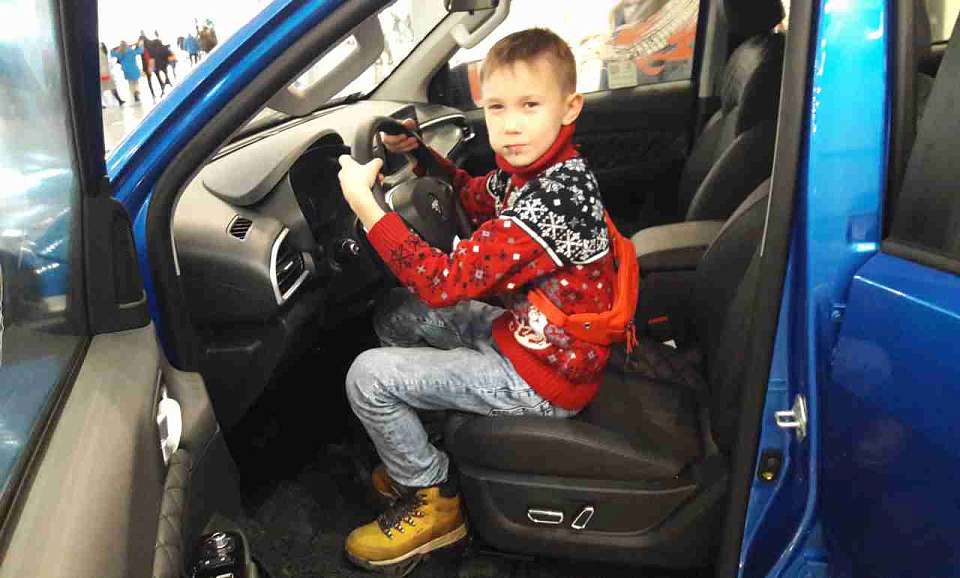 Сотрудники ГИБДД выявили в Воронежской области 33 пьяных водителя