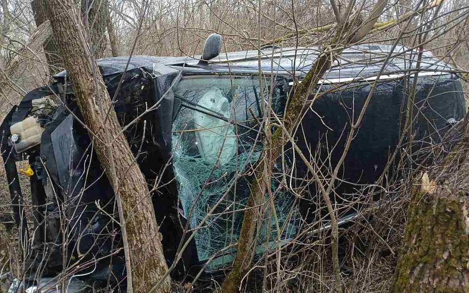 Молодая женщина и 8-месячная девочка пострадали в разбившейся под Воронежем иномарке