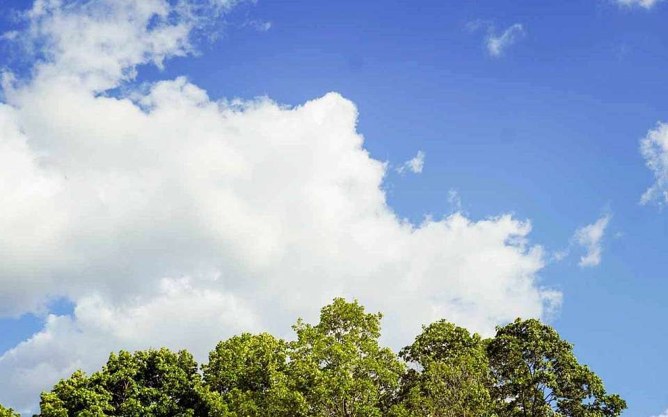 На 5 градусов упадет температура воздуха в Воронежской области