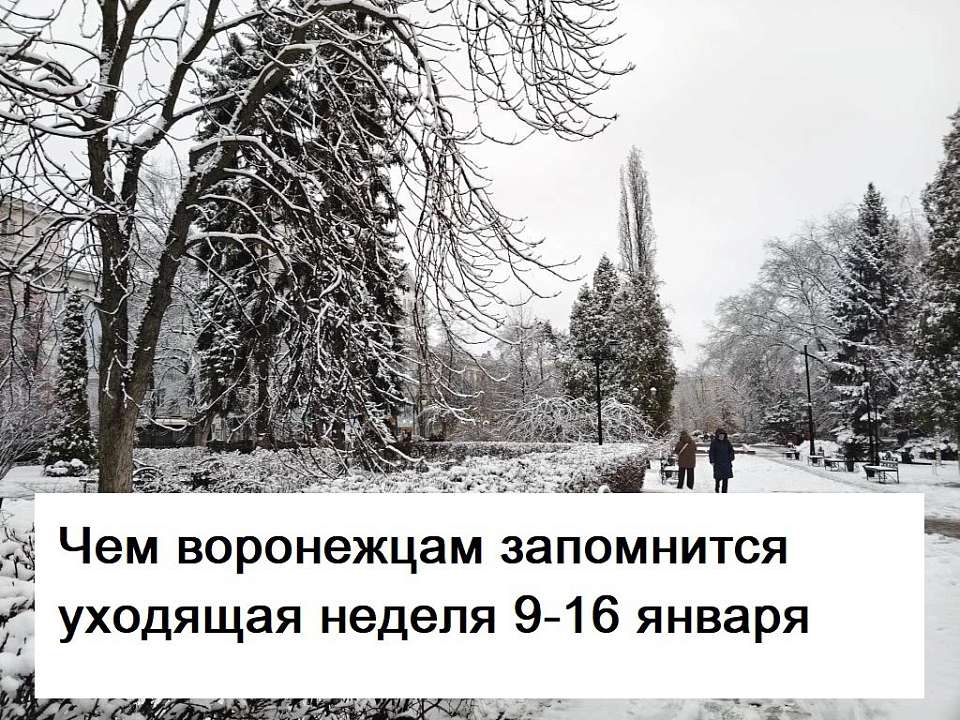 Чем запомнилась в Воронеже неделя с 9 по 16 января