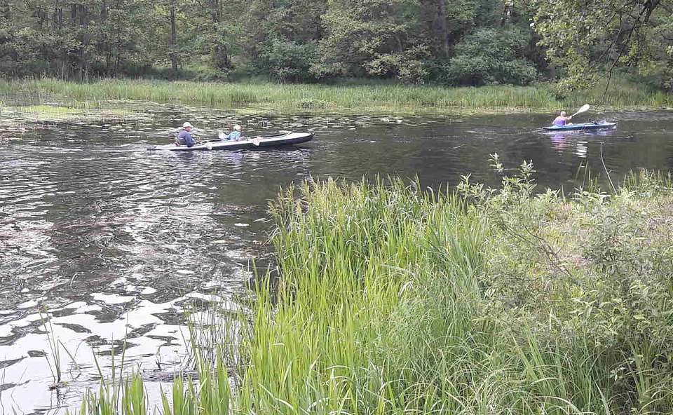 Александр Бастрыкин заинтересовался делом о сливе отходов в реку Дон под Воронежем