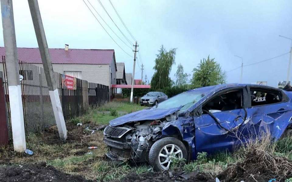 Автомобилистка разбилась о бетонный столб в Воронежской области