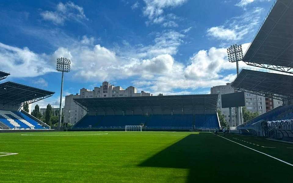 За нецензурные крики болельщиков на 15 тыс. рублей оштрафовали воронежский «Факел»