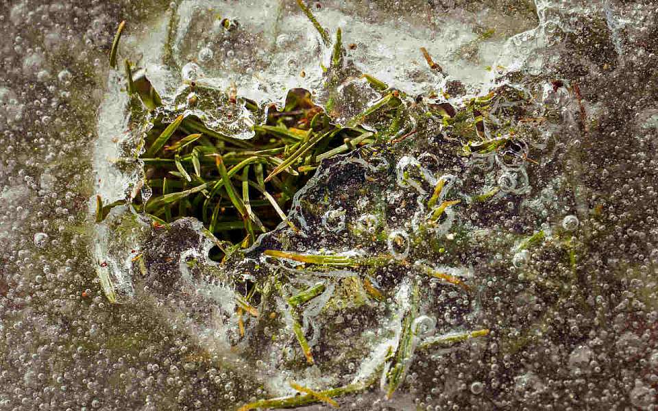 Мороз до -18 градусов и потепление придут в первые мартовские выходные в Воронежскую область