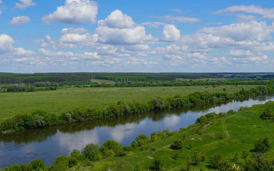 Обследование пяти рек проведут в Воронежской области