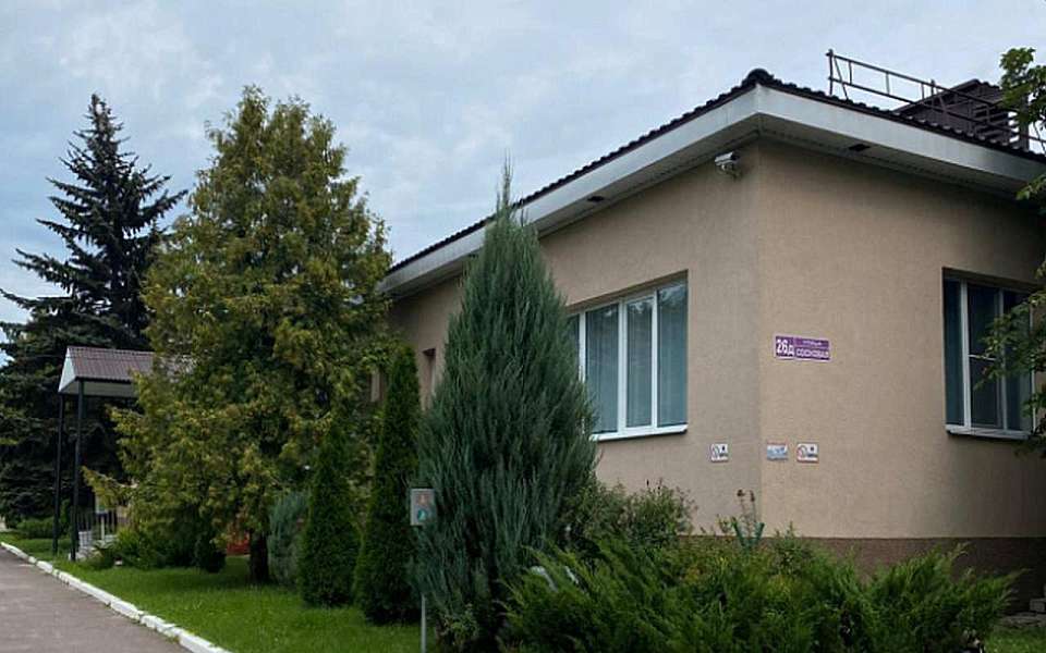 Руководитель детского сада обратилась за помощью к спикеру гордумы Воронежа