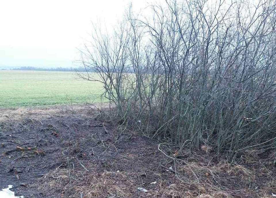 Ассенизаторы сбрасывали из машины в поле содержимое сливных ям в Воронежской области