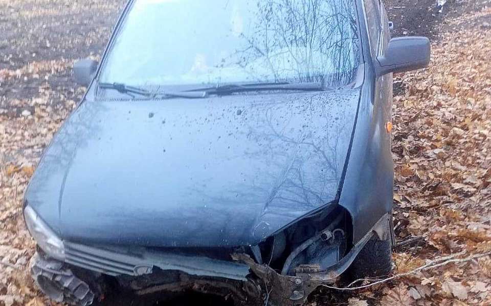 Два человека пострадали в съехавшей в кювет «Ладе» под Воронежем