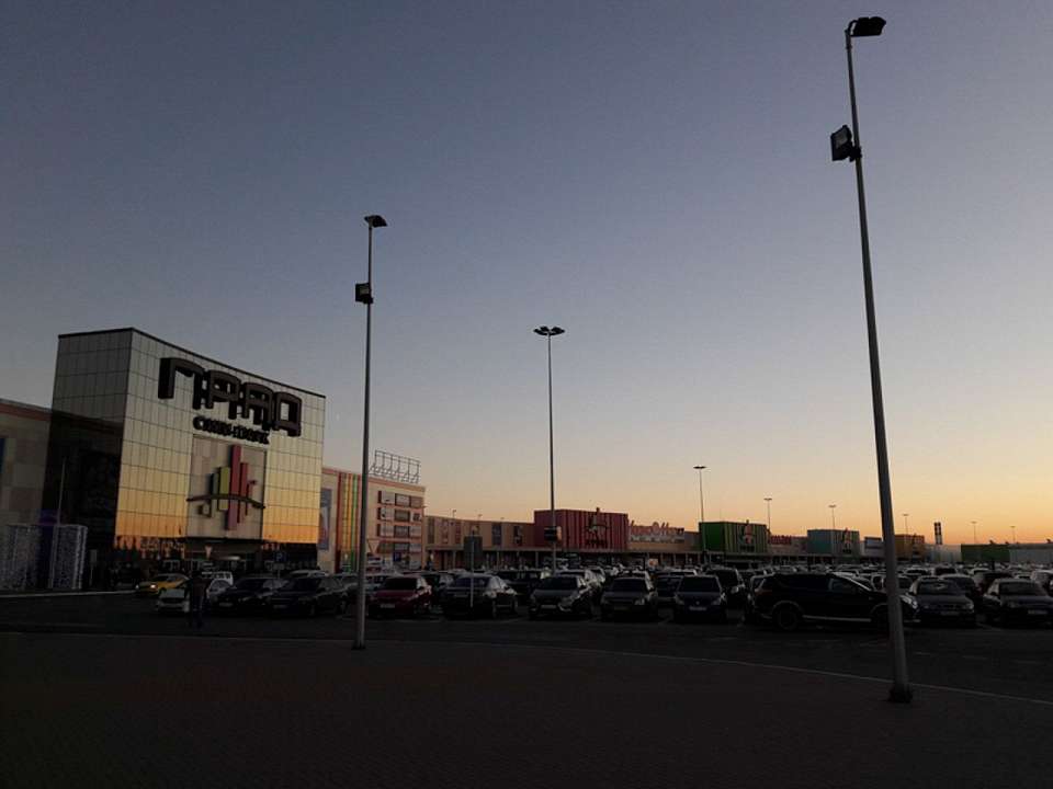 Незаконных мигрантов из Вьетнама и Средней Азии задержали в ТРЦ под Воронежем