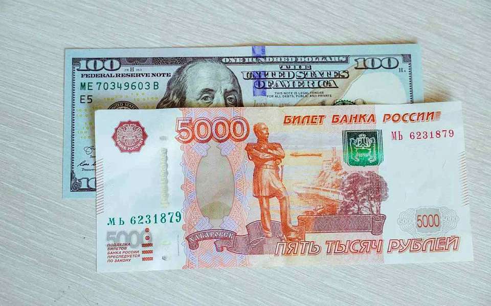 Шесть фальшивых стодолларовых купюр выявили в Воронежской области