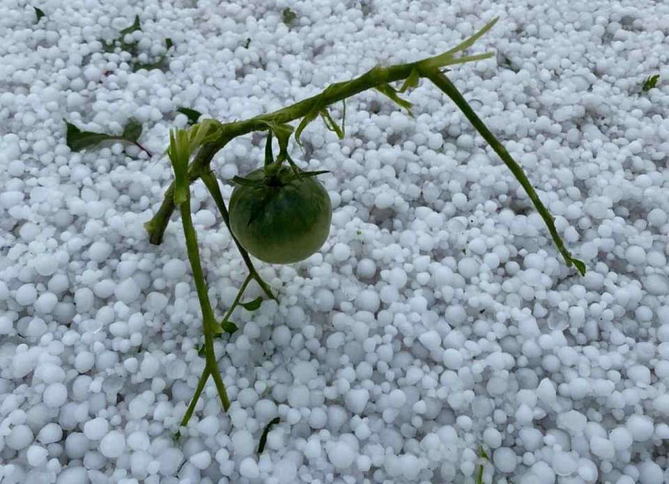 Мощный град обрушился на Воронежскую область