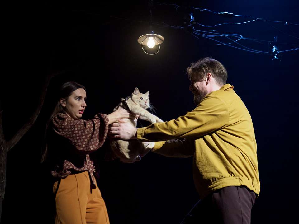 В Воронежском театре кукол «Шут» показали премьеру по роману Владислава Крапивина