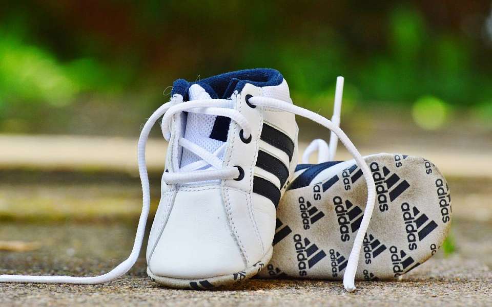 Незаконный спорткомплекс закрыли в Воронеже