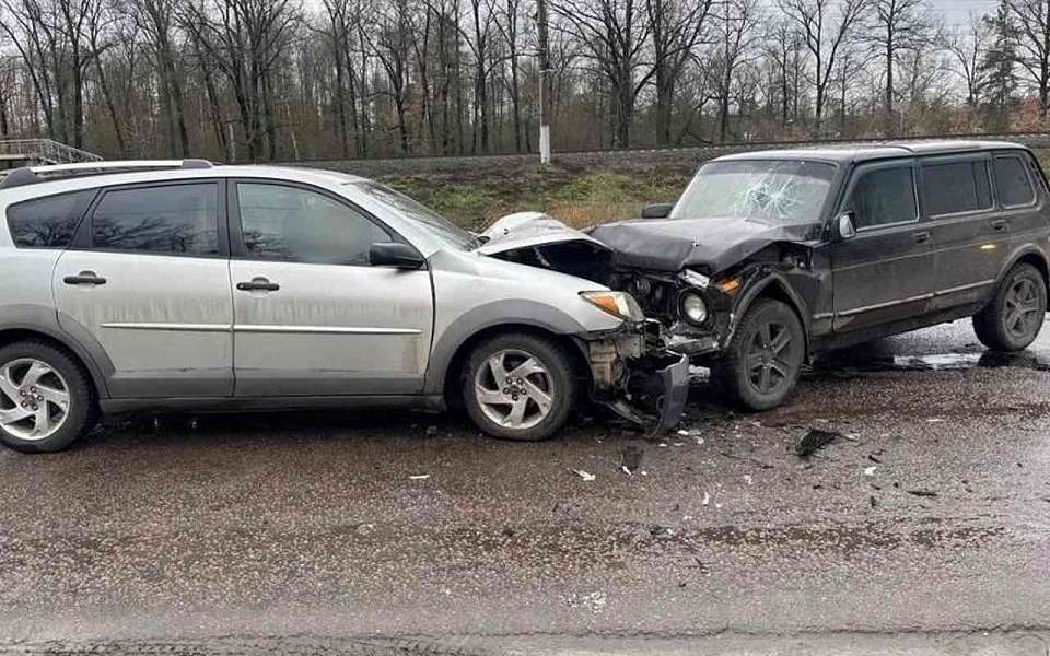 Водитель из Липецка и пенсионеры из Воронежа пострадали в лобовом ДТП под Воронежем
