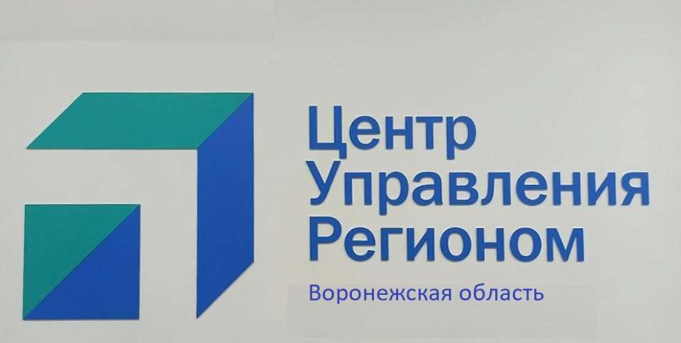 Аналитика воронежского ЦУР – в основе управленческих решений чиновников