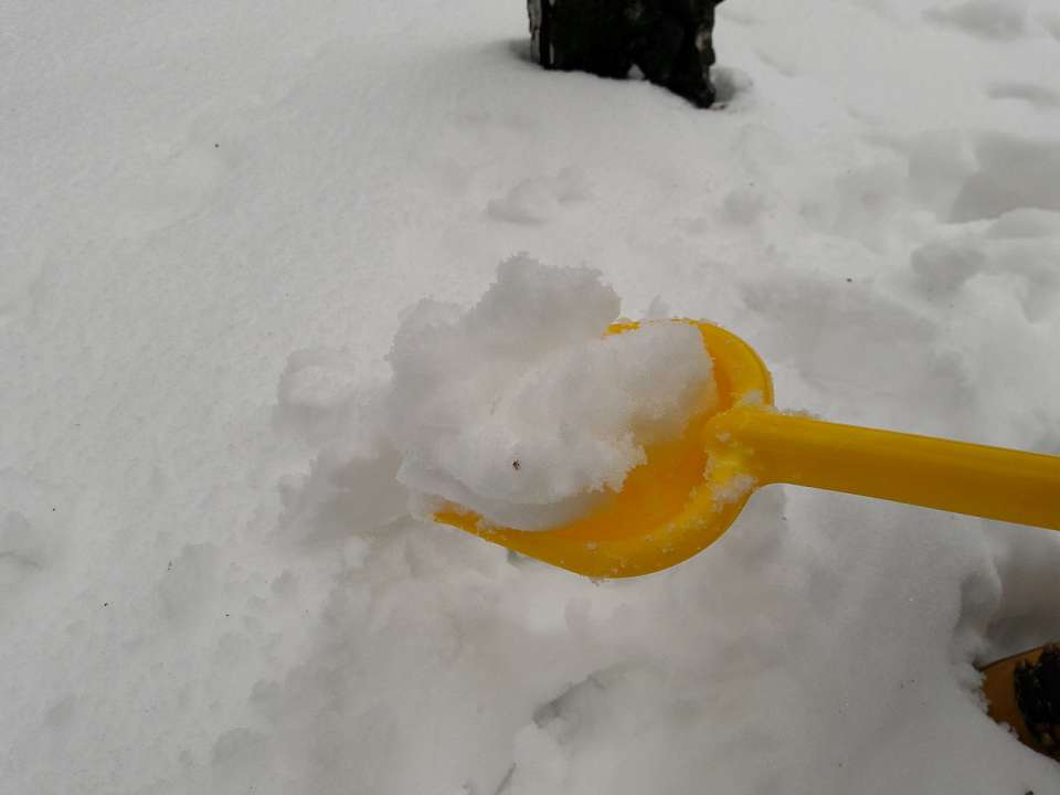 Историю с вывозом снега прокомментировали в мэрии Воронежа