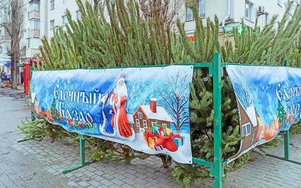 Елочные базары откроются 19 декабря во всех районах Воронежа