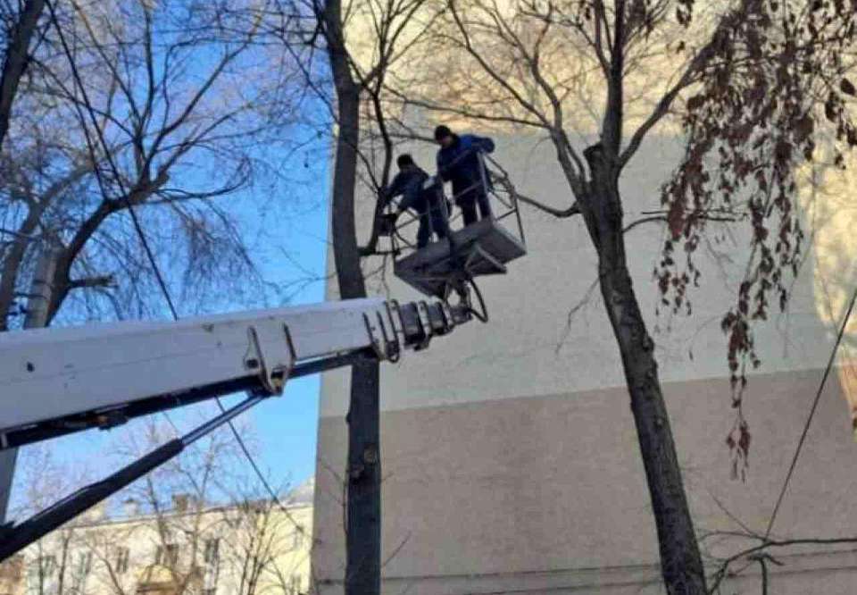 В центре Воронежа провели санкционированную обрезку 6 деревьев